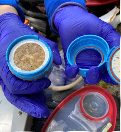 A water sample filter held by a researcher wearing protective gloves