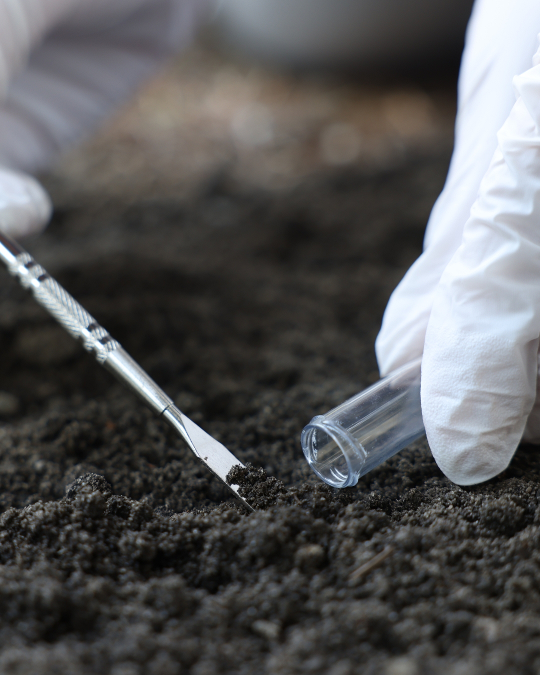 Gloved hands collecting a soil sample into a tube